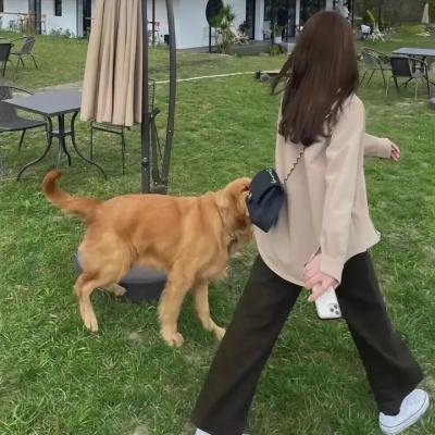 回归生活
